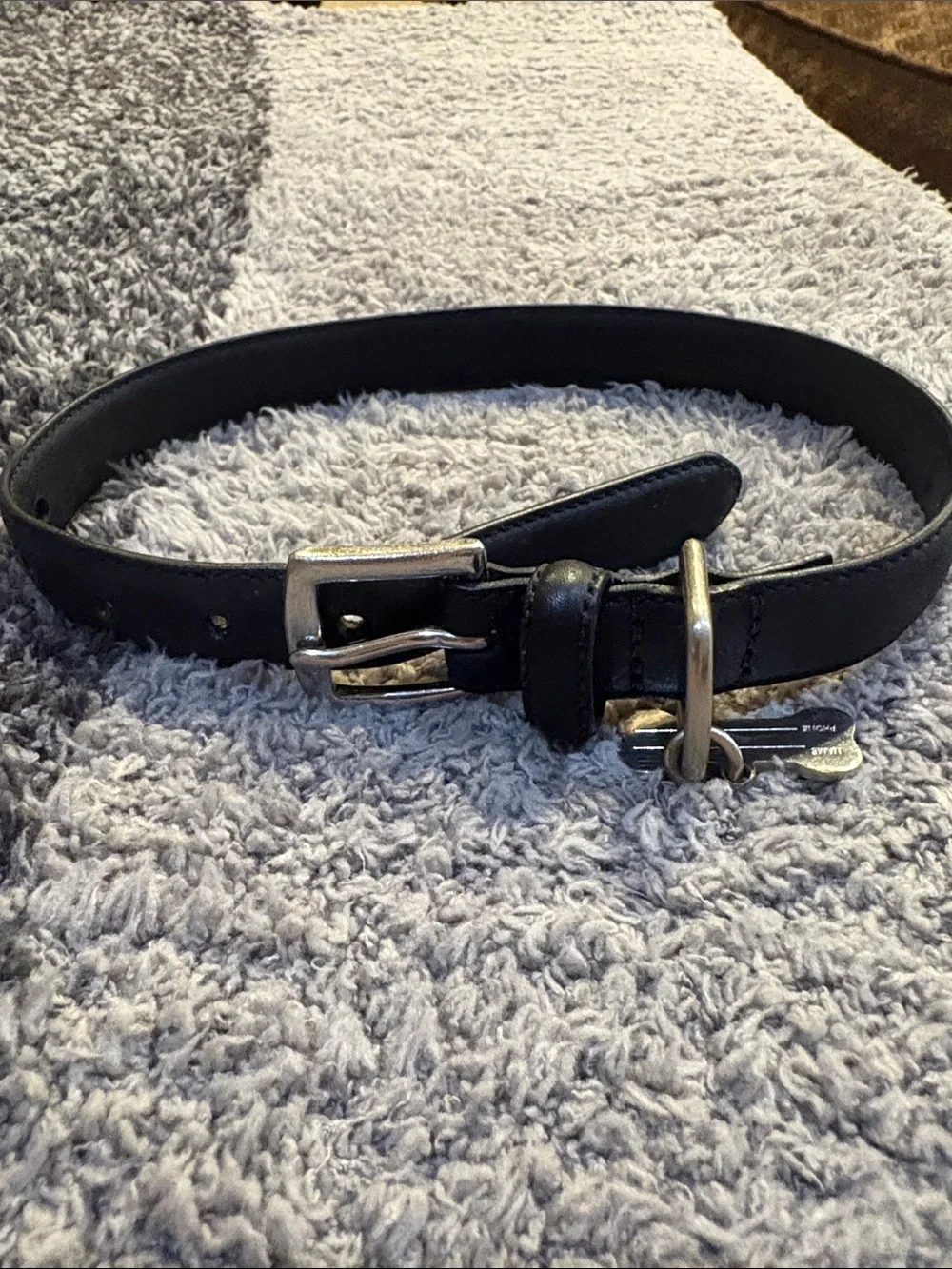 Coach dog collar